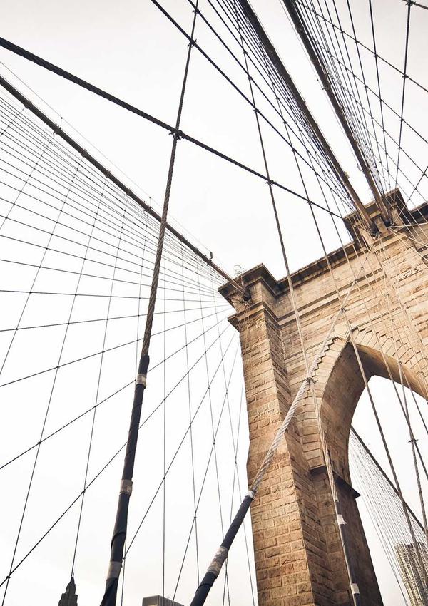 Educator Phuong Profile