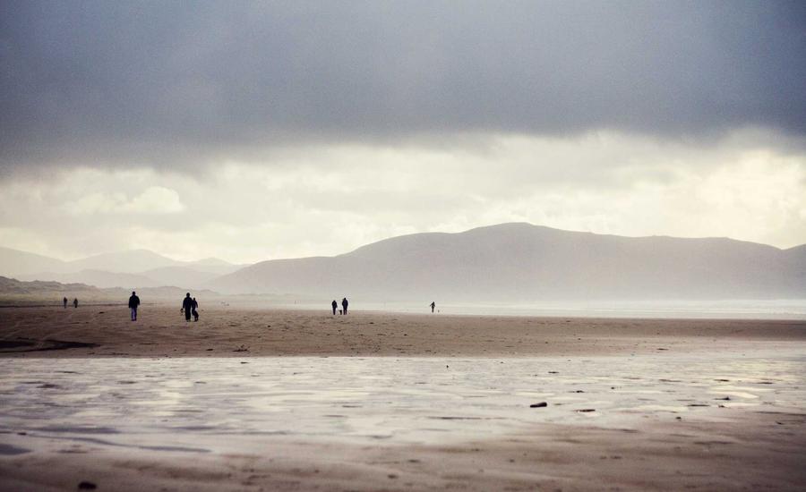 Tủ rượu kính hiện đại 2026