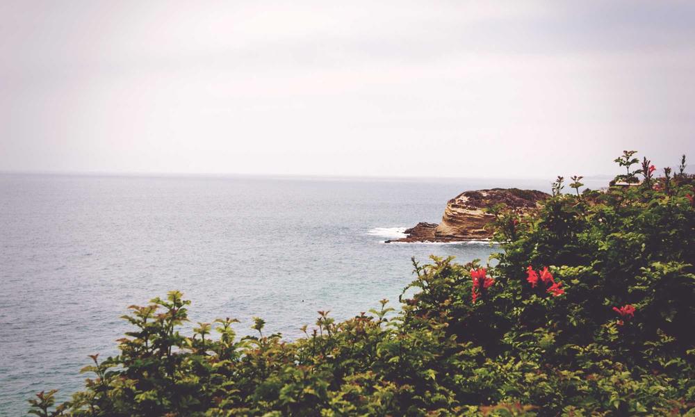 Bàn ghế 2026 cao cấp