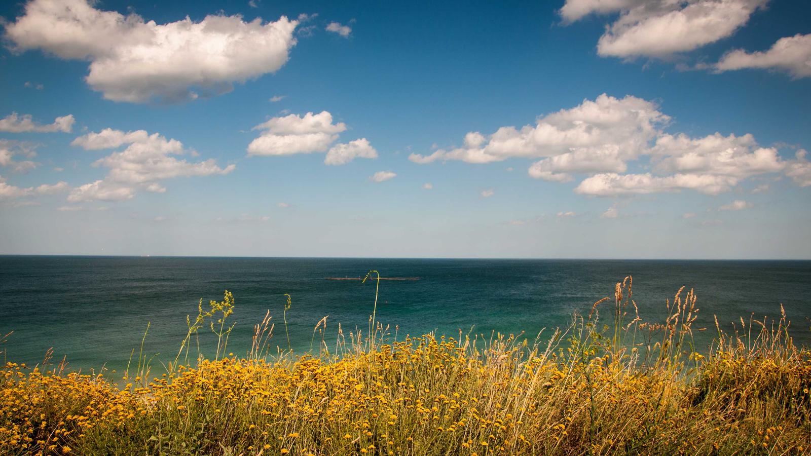 Kinetic Fashion Art 2026