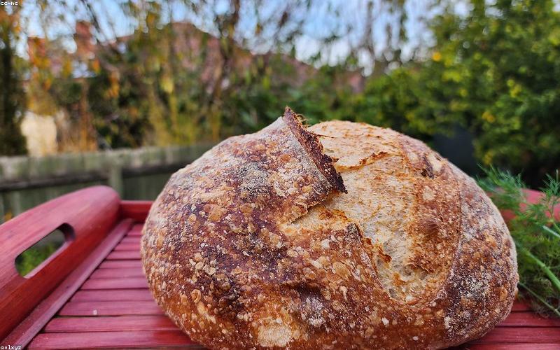 Bánh mì men tự nhiên sourdough