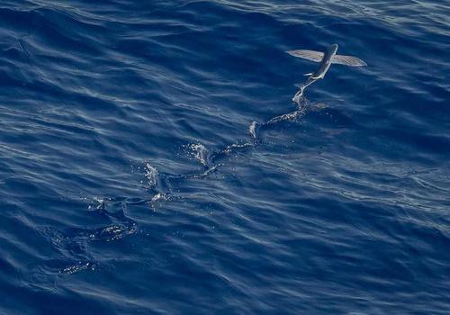 Baby massage treatment 2026