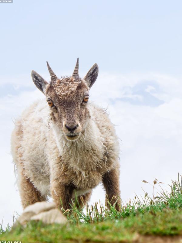 ThS. Hoàng Lan Portrait