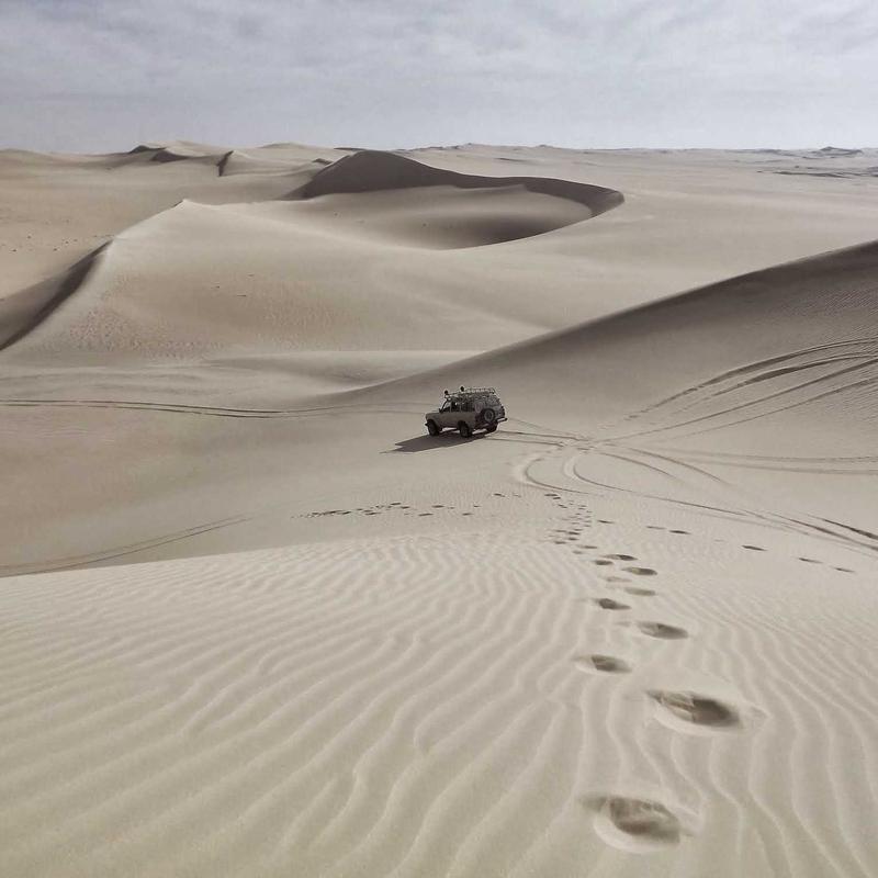 Áo Thun Nam Polo Basic 4