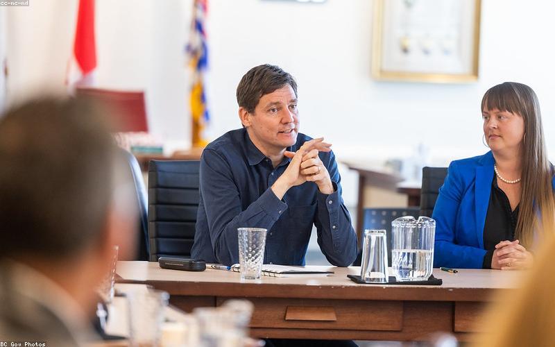 Mỹ phẩm an toàn cho mi