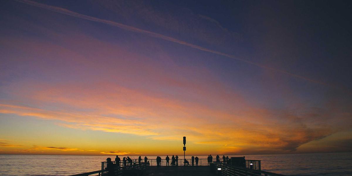 Vietnam Map Dark Mode