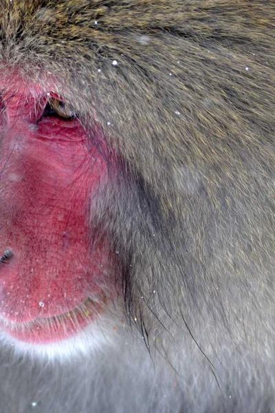 Psychology Sidebar Image