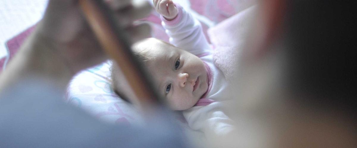 Aquaponics Urban 2026