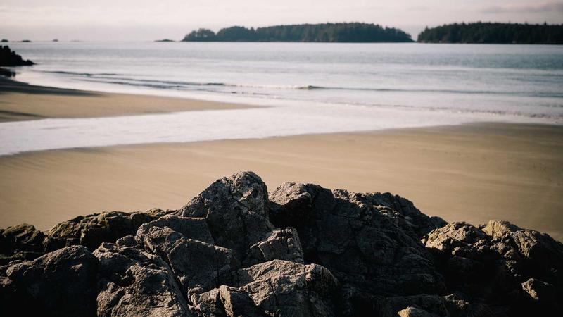 Tế bào gốc tự thân trong chỉnh hình