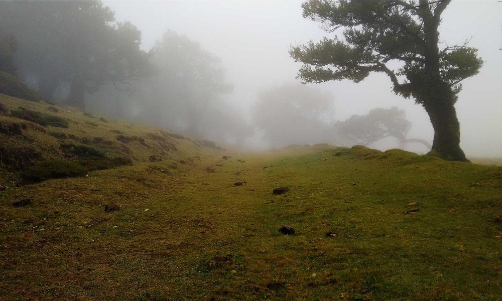 Khăn lụa và cashmere cao cấp