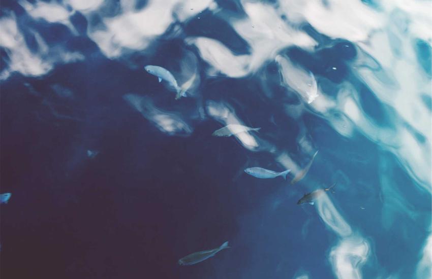 Abstract scent particles gold dark background