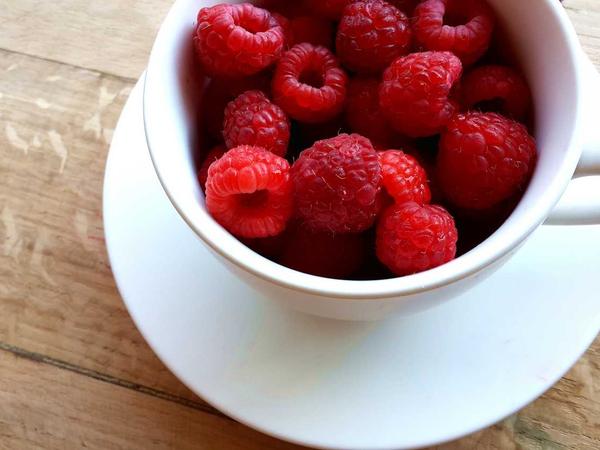 Sustainable Lifestyle 2026