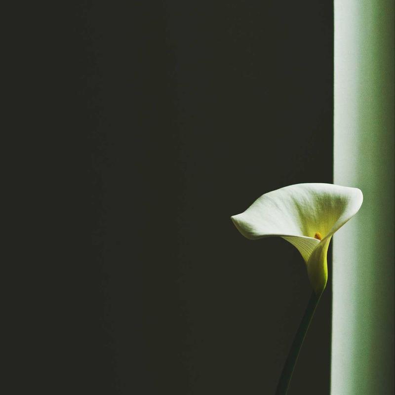 Túi Xách Da Cầm Tay Đính Đá Sang Trọng 1