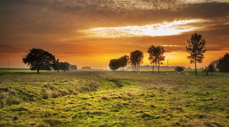 Homestay 2026 Sustainable