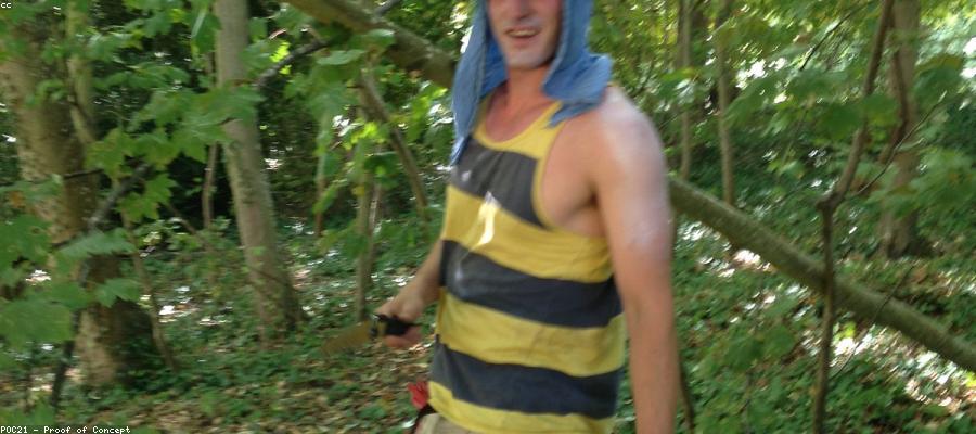 Tối ưu SEO tự động