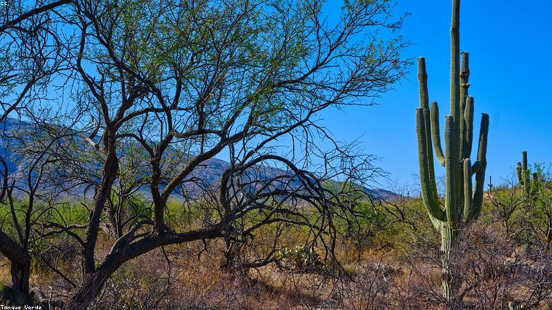 Chụp ảnh phong cảnh từ flycam