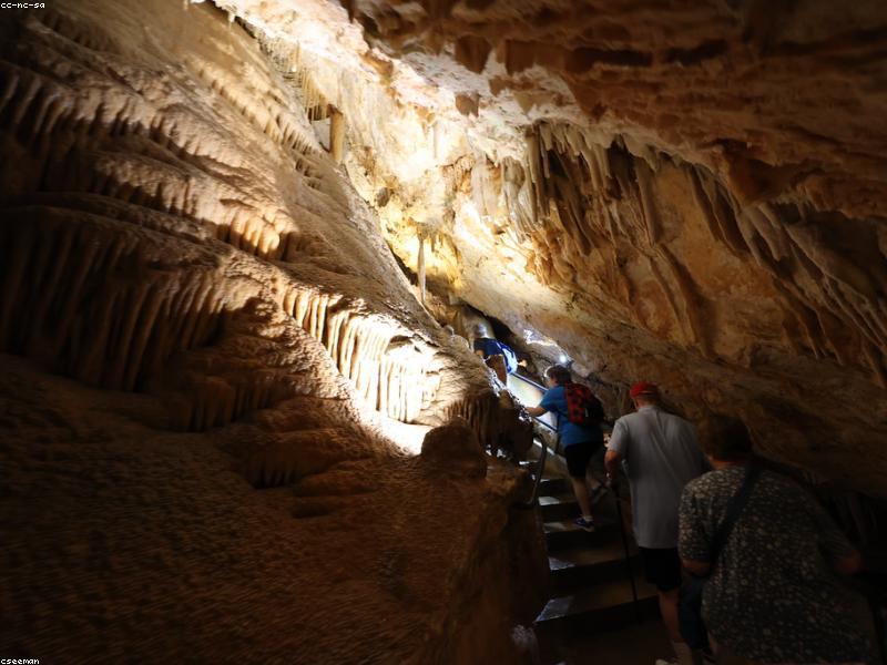 Thạch nhũ trong hang