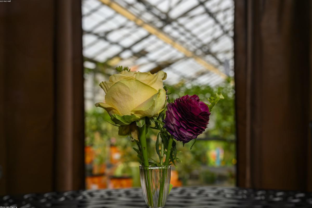 Bó hoa cưới nhỏ gọn