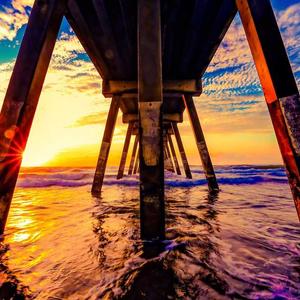 Cỏ lác sậy lọc nước