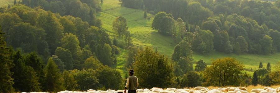Phòng tập Toddler Gym 2026