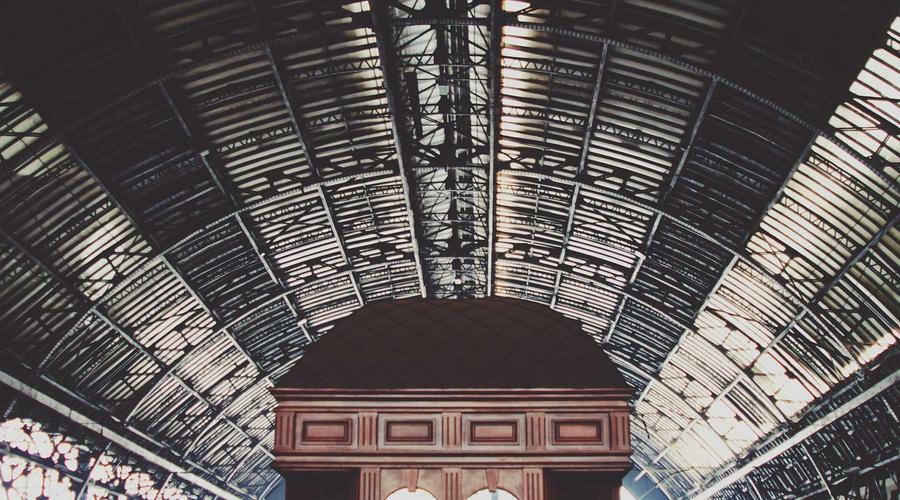 Chế độ kinh tế Pet 2026