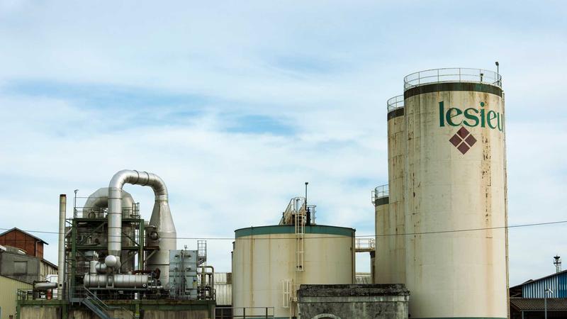 AI Decentralized Talent 2026