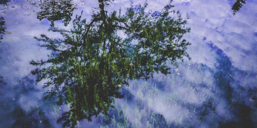 Không gian làm việc sang trọng