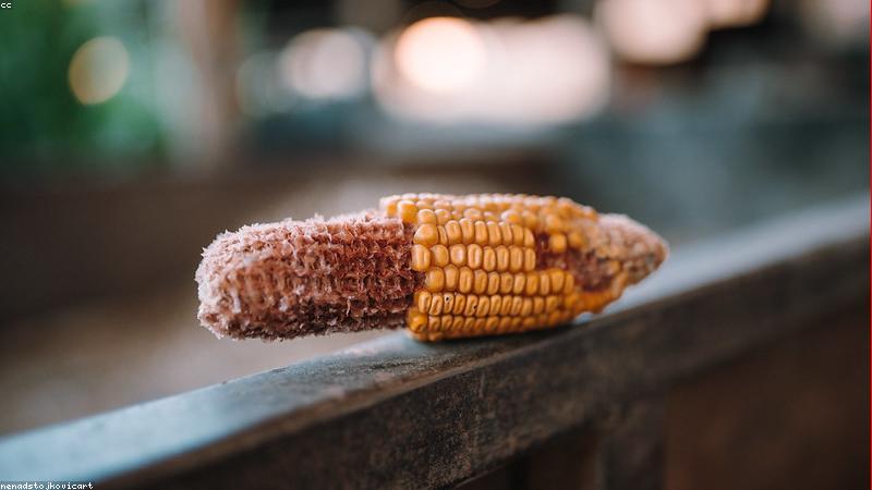 Thực phẩm và vitamin bổ trợ lẫn nhau