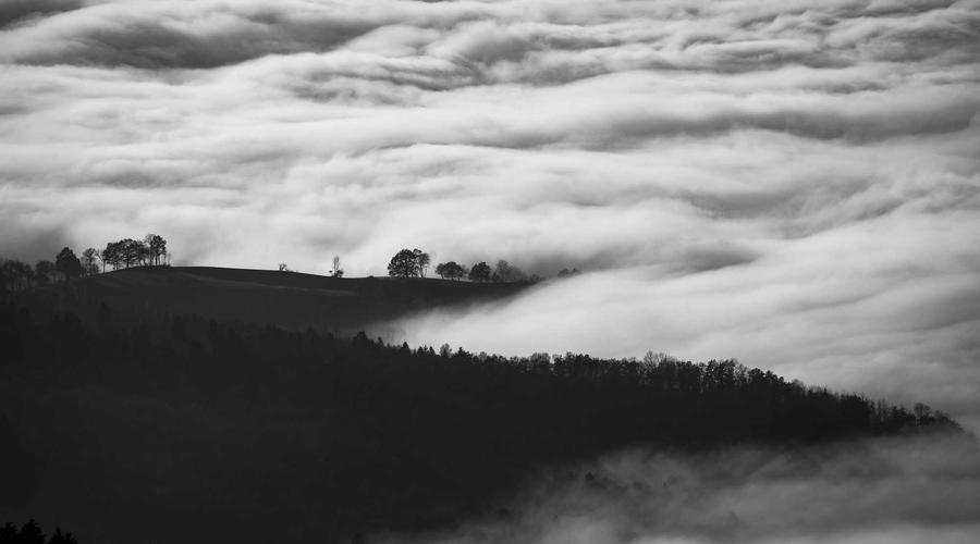 Hệ thống canh tác dâu tây thông minh 2026