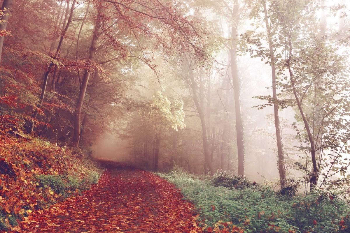 Ẩm thực Việt 2026 hiện đại