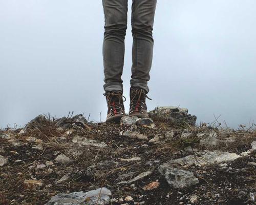 Technological Moss Art