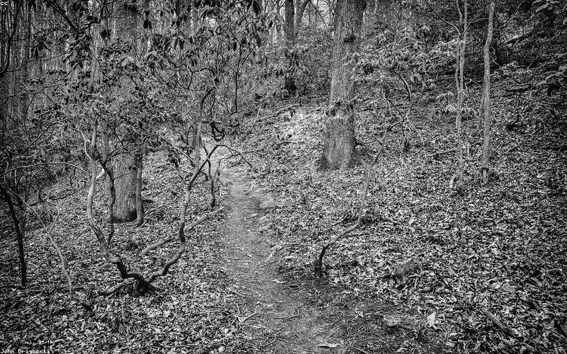 Kỹ thuật leo núi chuyên nghiệp