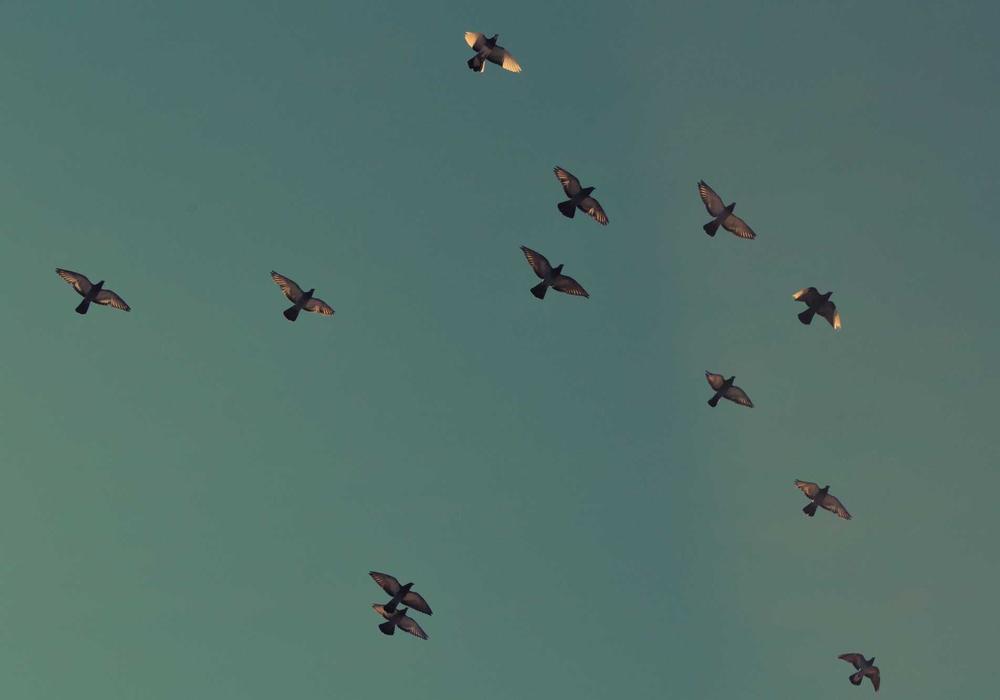 Khuôn viên Golden Years