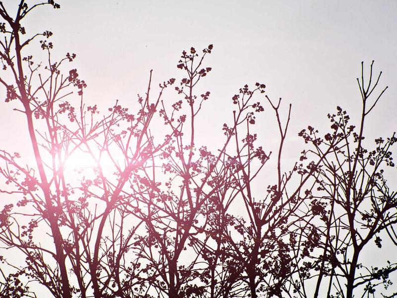 Kho bãi hiện đại Optima