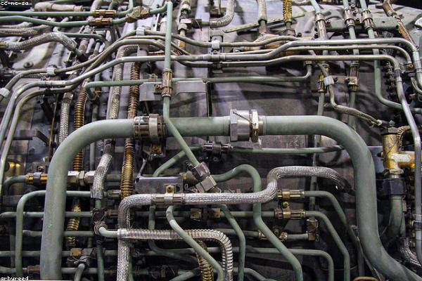 Dã ngoại thực tế