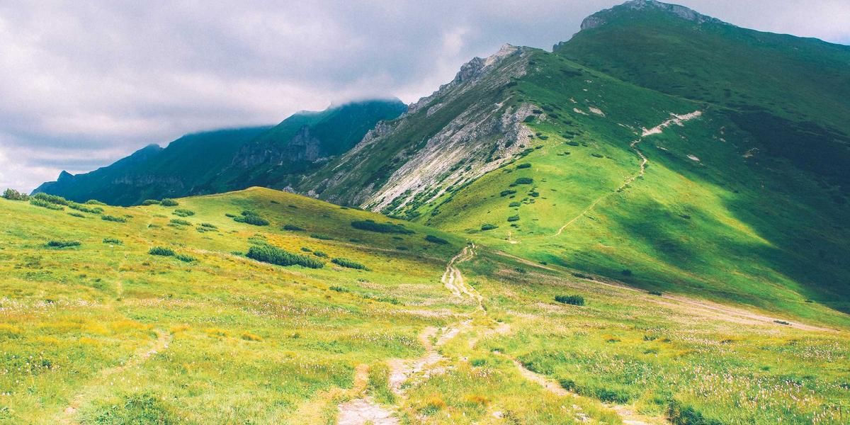 Digital Transformation