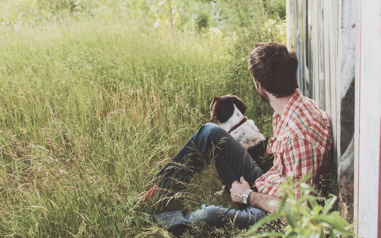 The Primal Throne - Chiếc ghế Đa búp đỏ đầu tiên