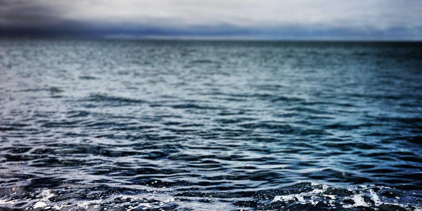 Final verdict Hermes Birkin