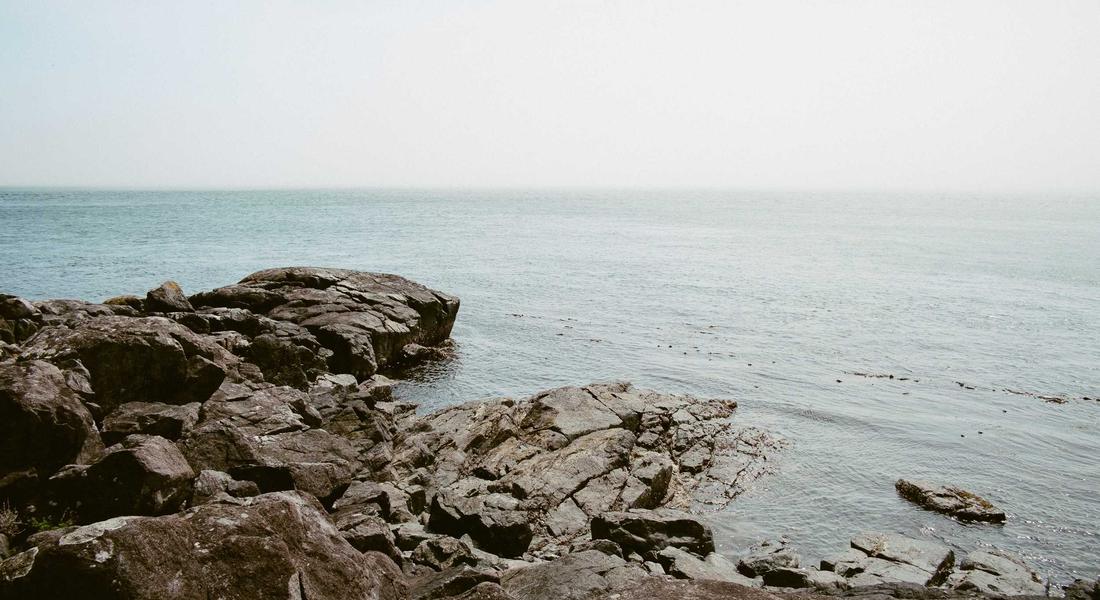 Sneakers and Accessories 2026