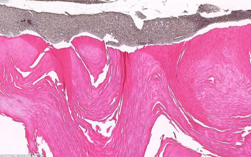 Apothecary Inspired Nails