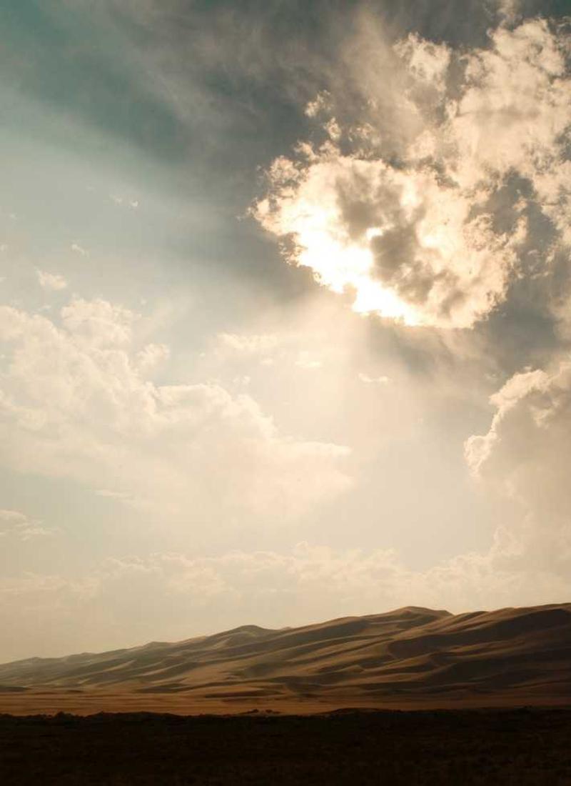 Technical Fitting Digital