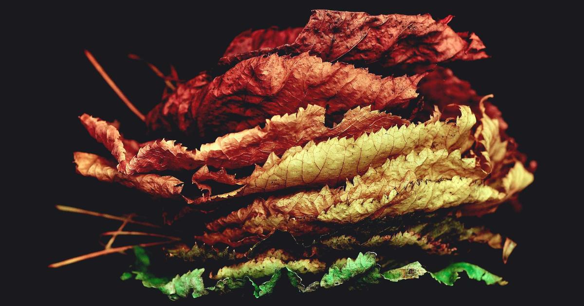 Chiến lược bán dẫn tỷ USD: Việt Nam liệu có kịp đào tạo 50.000 kỹ sư vào năm 2030?