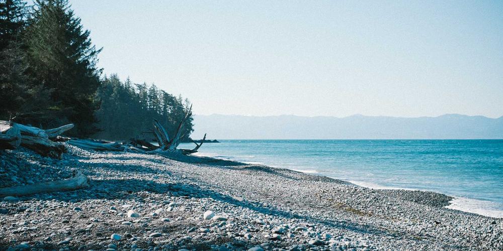 Theo dõi tín hiệu não bộ trong tập luyện