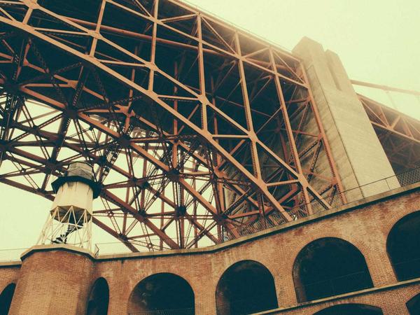 Hạt giống thảo mộc 2026