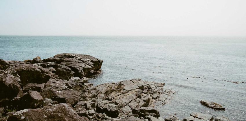 Cyber Security Solutions 2026