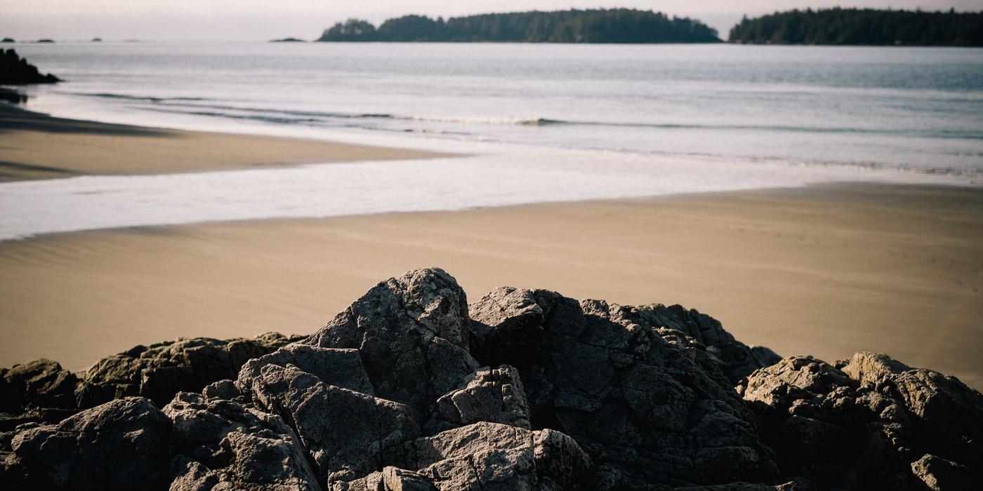 Urban Landscape 2026