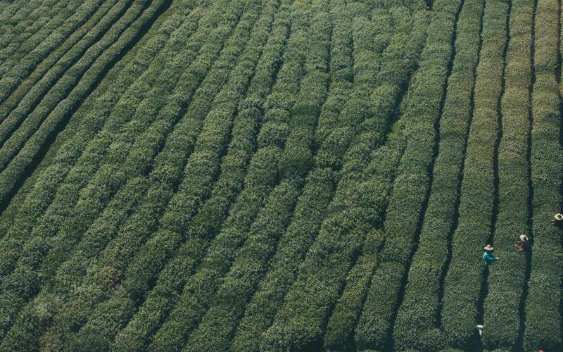 Interior Stylist Bui Yen Nhi working