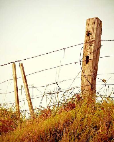 Tủ kệ hồ sơ 2026