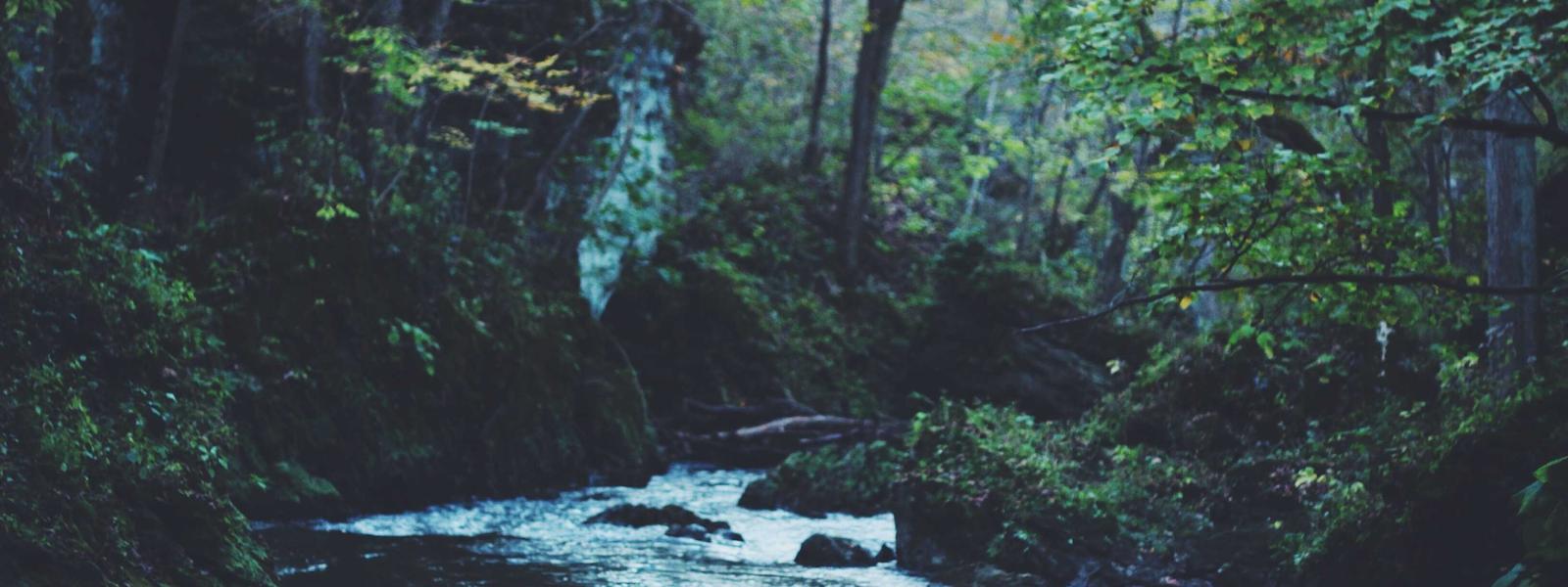 Laboratory Art Appraisal 2026