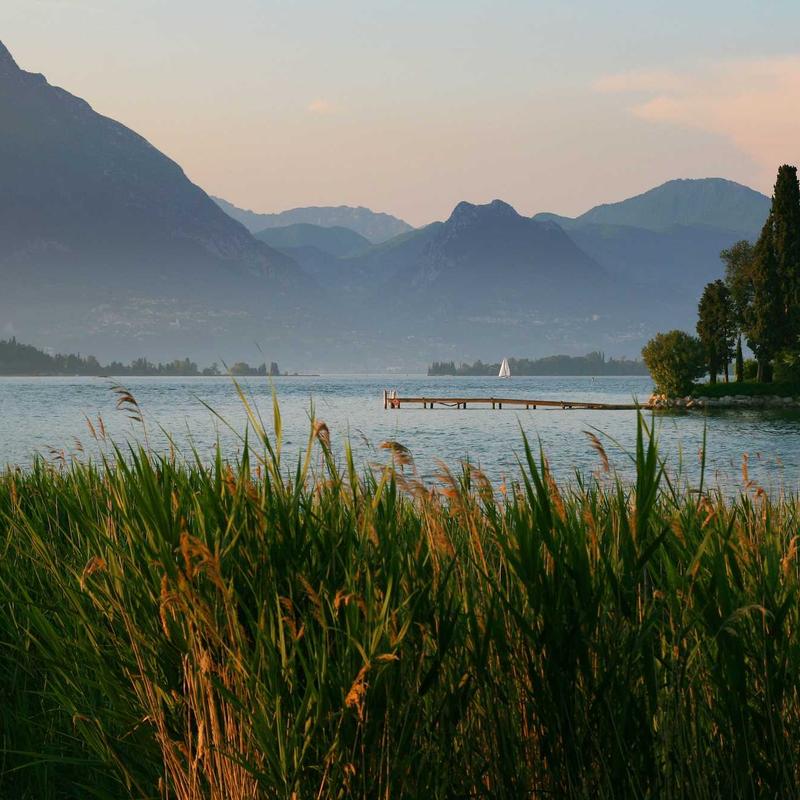 Túi Xách Da Đeo Vai Ella 3